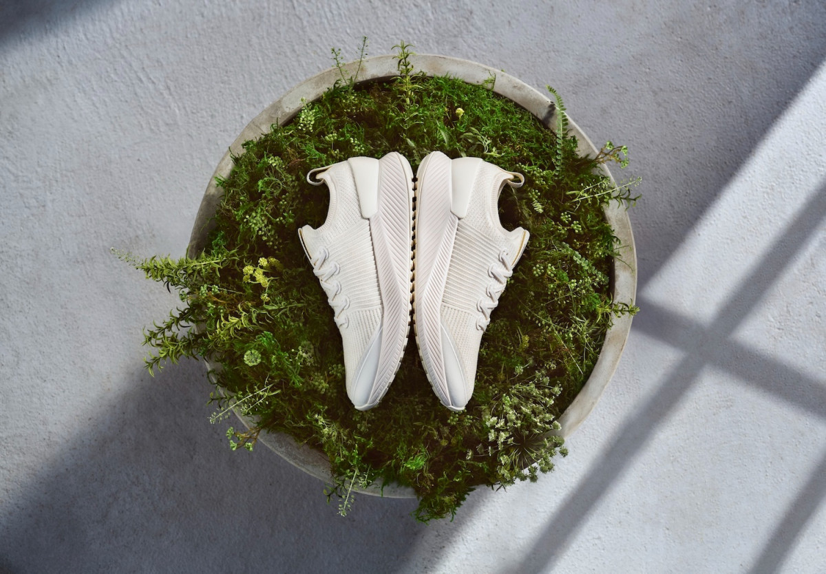 Allbirds